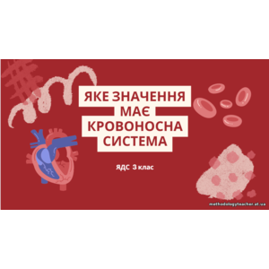 Презентація «Яке значення має кровоносна система» (3 клас. Я досліджую світ)