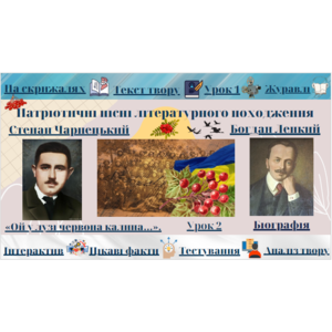 Патріотичні пісні літературного походження.